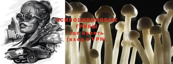 крисы Алексин
