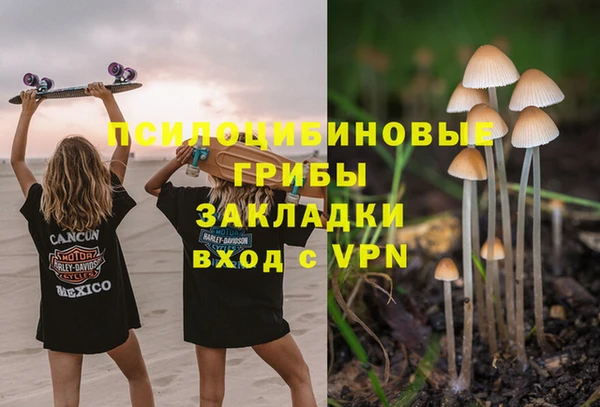 ECSTASY Алексеевка