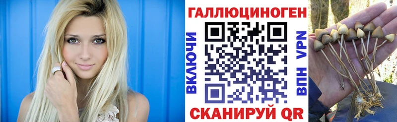blacksprut зеркало Нерчинск Галлюциногенные грибы Magic Shrooms